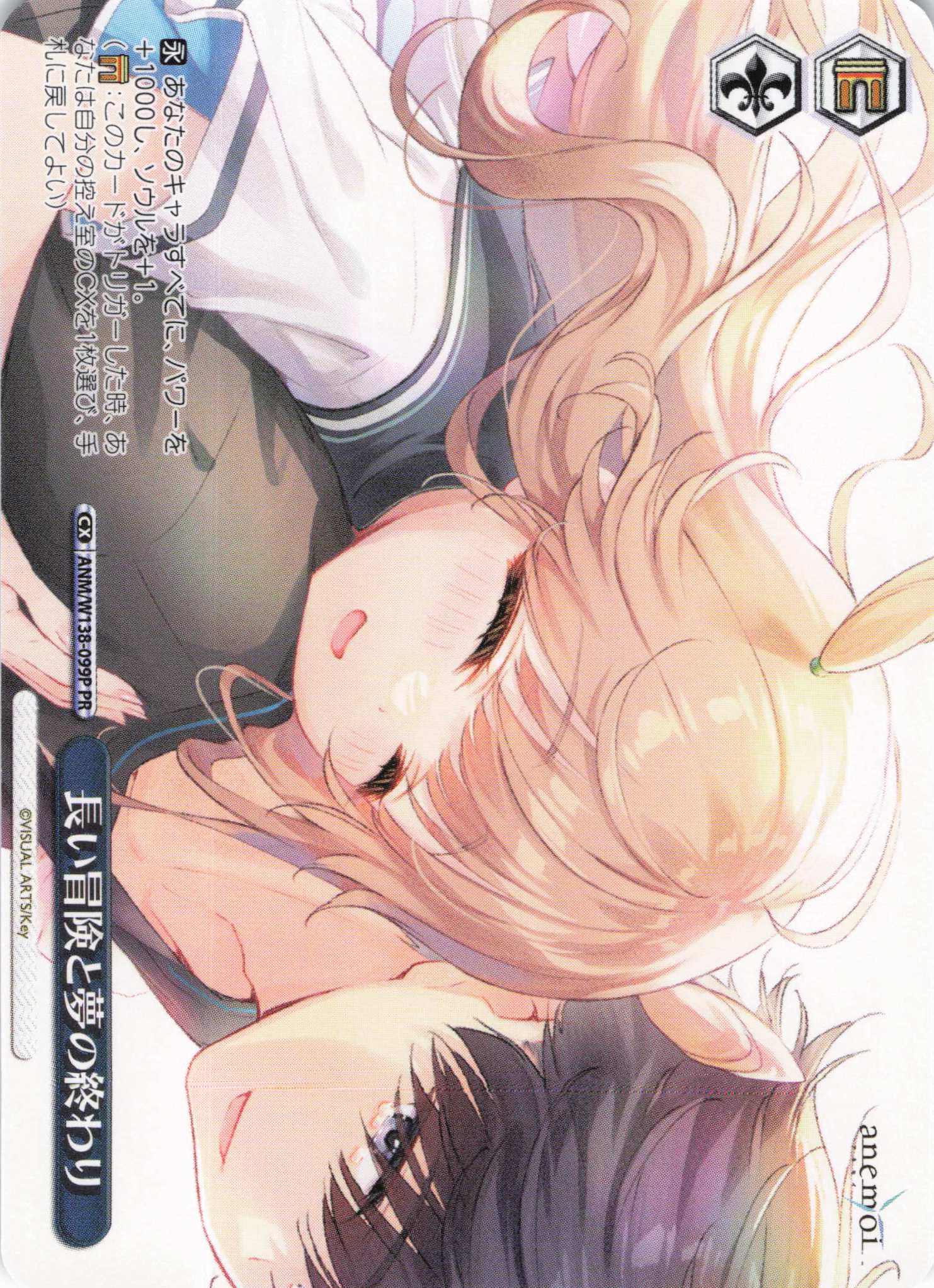 長い冒険と夢の終わり(PR)(ANM/W138-099P)
